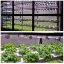 김용우농장 이미지