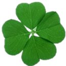 계림아파트 이미지