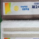 이천나염
