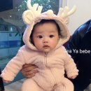쩡샵 이미지