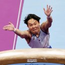 제천체육관 올림픽스포츠센터 이미지