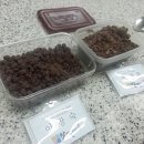 창녕군농업기술센터 이미지