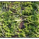 귀농귀촌체험민박 이미지