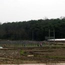 칠보초교 이미지