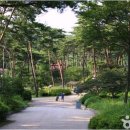 안면도힐링캠핑장