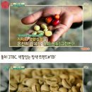 허브앤다이어트
