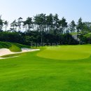 파인우드비치 | 해남 파인비치CC 전라도 골프투어 1박2일 골프텔 패키지 LPGA 대회 코스 라운드