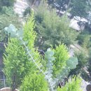 유한회사 서진 이미지