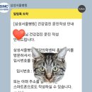삼성서울병원 건강검진코스 종류 비용 검사후기
