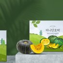 따뜻한디자인 이미지
