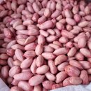 반짝할인 ~햇서리태콩 1키로 11,000원~메주콩,깐땅콩 있습니다 이미지