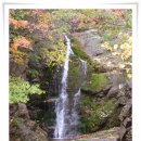 석순농장 이미지