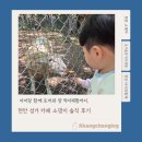 호랑이태권도 | 아이랑 토끼·양 먹이체험까지, 천안 성거 카페 소댕이 솔직 후기