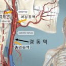 소마테라피