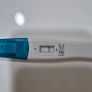 임신일기 0~6주차| 임신준비 및 확인(베테기, 임테기, 매직아이, 임신극초기증상, 산부인과 첫방문)