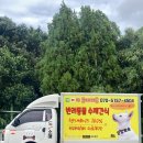 제주펫스쿨 이미지