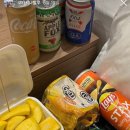 코타팸 이미지