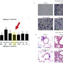 온누리감초약국 이미지