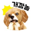 동양게임랜드 이미지