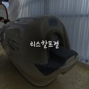 리스칼프결