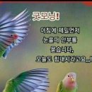 넌센스 퀴즈 이미지