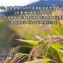 동부교회 앞 이미지