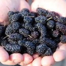 담양수퍼 이미지