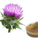 애플GYM.PT 이미지