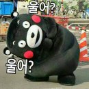 마-영암-3호 | 나주mct 병맛 후기