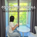 정선 가성비 숙소 추천 내돈내산 아리아리호텔 후기