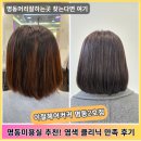 수헤어 성당점 | 명동미용실 이철헤어커커 명동2호점 미영쌤 염색 클리닉 후기! 명동머리잘하는곳