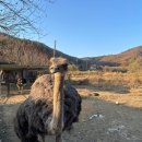 폭포수목장 네이버블로그