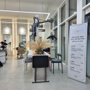 (주)닥터디자이너 | 다산역미용실에서 모발집중베르스파케어 받고 머릿결 회생 만재디자이너