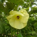 유인숙농장 이미지