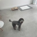 이뻐질개 이미지