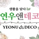 연우앤