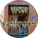 손금선애견세상 이미지