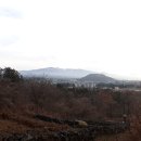 들레목장2 이미지