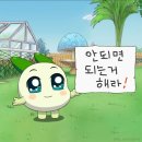아티클