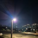 영락1농로 | 8화 살아있기는 살아있었구나.