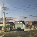 [제주공항 근처 탑동 맛집] 태광식당 내돈내산 후기 – 주물럭 진심인 집!