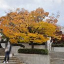 남부터미널 역 5번출구 옆 이미지