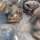 지산상회 이미지