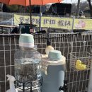 이동공설운동장(천연잔디) | [🐶경기도 애견카페] 천연잔디 애견 운동장 '호두네놀이터' 방문 후기