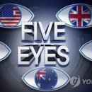 독일아이즈 이미지