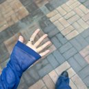 (주)베스트키퍼스 | 2달 런데이 후기🧖🏻⊰✿이현이와 퓨리오사 그리고 쑤진&amp;쑤민이와의 만남