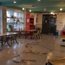 파파동물병원 이미지