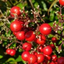 남원 개령암지 마애불상군 이미지