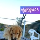 시월호텔 이미지