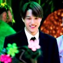 김두선 Daum카페